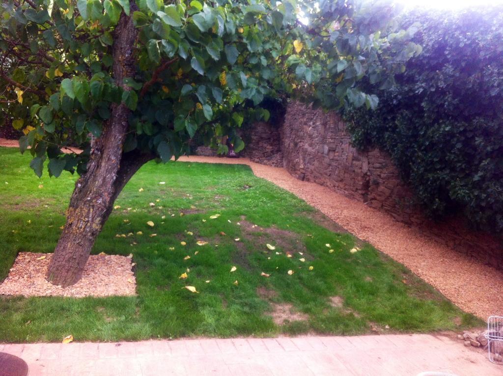 Casa Rural Pico Del Lugar Villar de los Barrios Exteriér fotografie